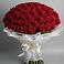 101 Красная роза Блэк Мэджик в городе Вышний Волочёк Букет 101 Красная роза Блэк Мэджик в городе Вышний Волочёк