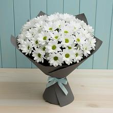 Букет белые хризантемы #REPLACE_PRED# городе Вышний Волочёк Букет цветов из:  Хризантемы #REPLACE_PRED# городе Вышний Волочёк