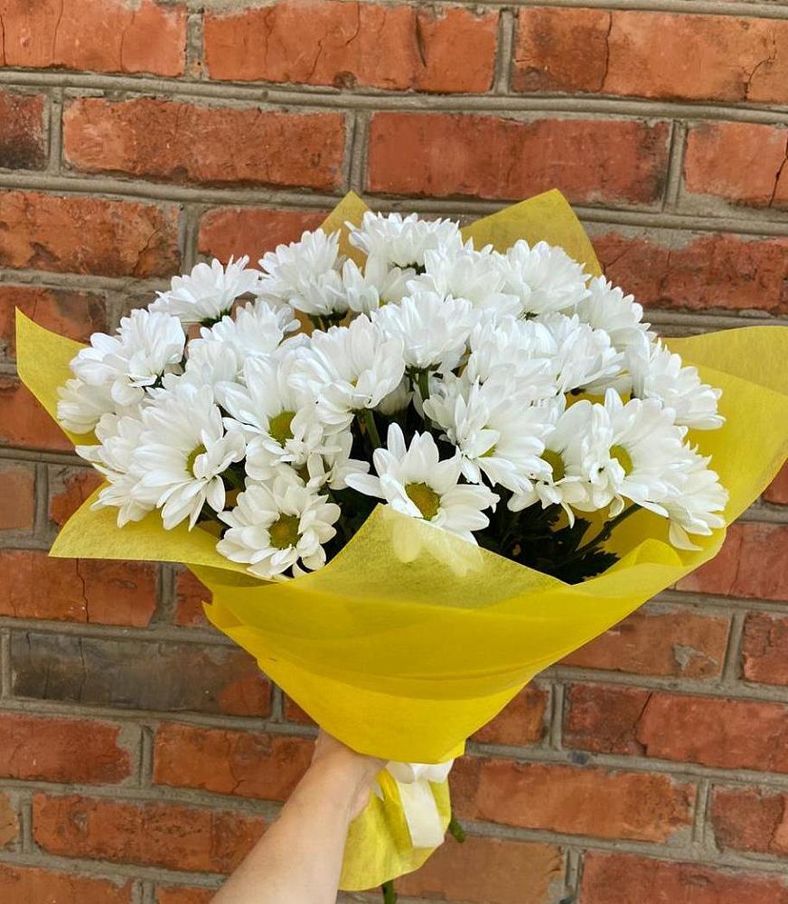 Букет цветов из: Хризантемы в городе Вышний Волочёк