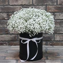 Композиция коробка гипсофил #REPLACE_PRED# городе Вышний Волочёк Цветочная композиция из Гипсофила в шляпной коробке #REPLACE_PRED# городе Вышний Волочёк