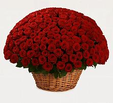 Премиум букет из: Розы в городе Вышний Волочёк