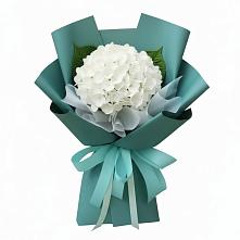 Букет Лёгкое облако в городе Вышний Волочёк Букет цветов из:  Гортензия в городе Вышний Волочёк